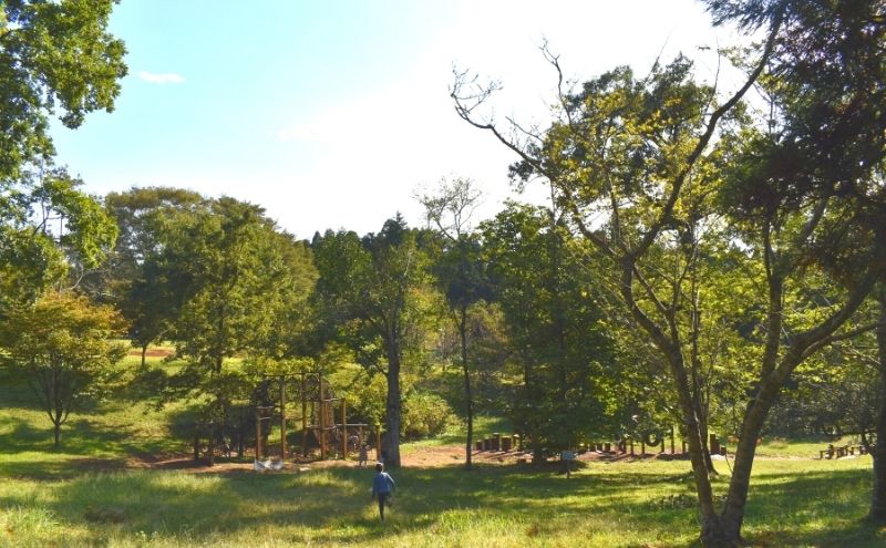 昭和の森公園行き方