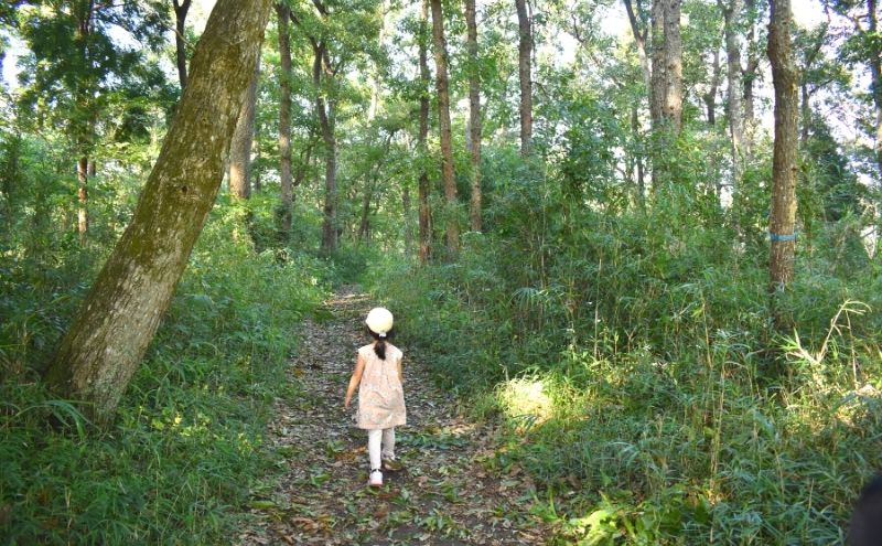 昭和の森公園行き方