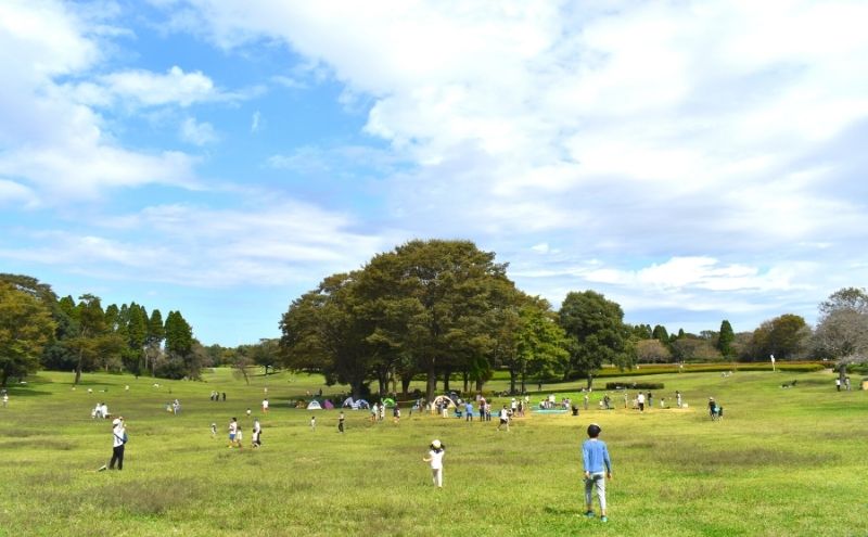 昭和の森公園広場