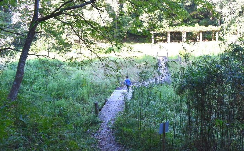 昭和の森公園