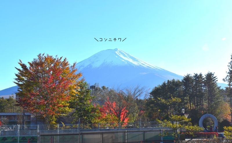 山梨県：富士山を見る