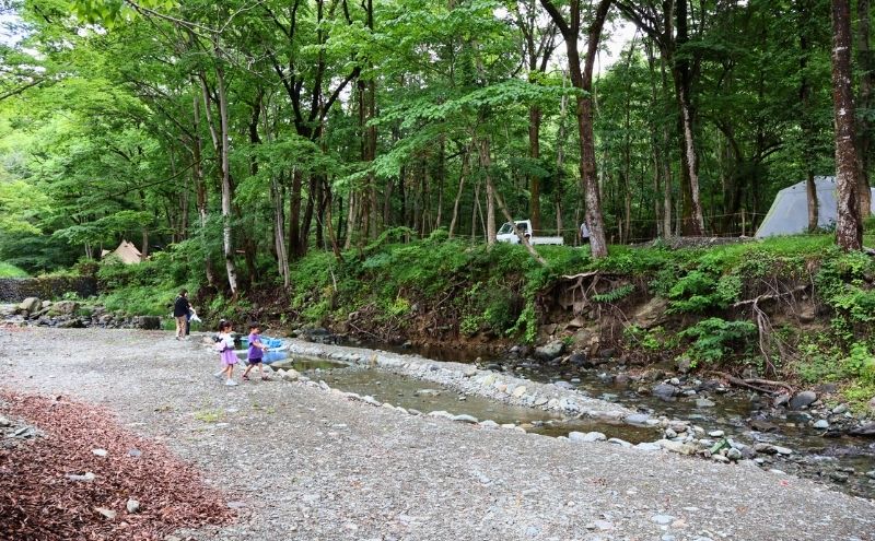 秩父定峰清流キャンプ場：デメリット＞場内